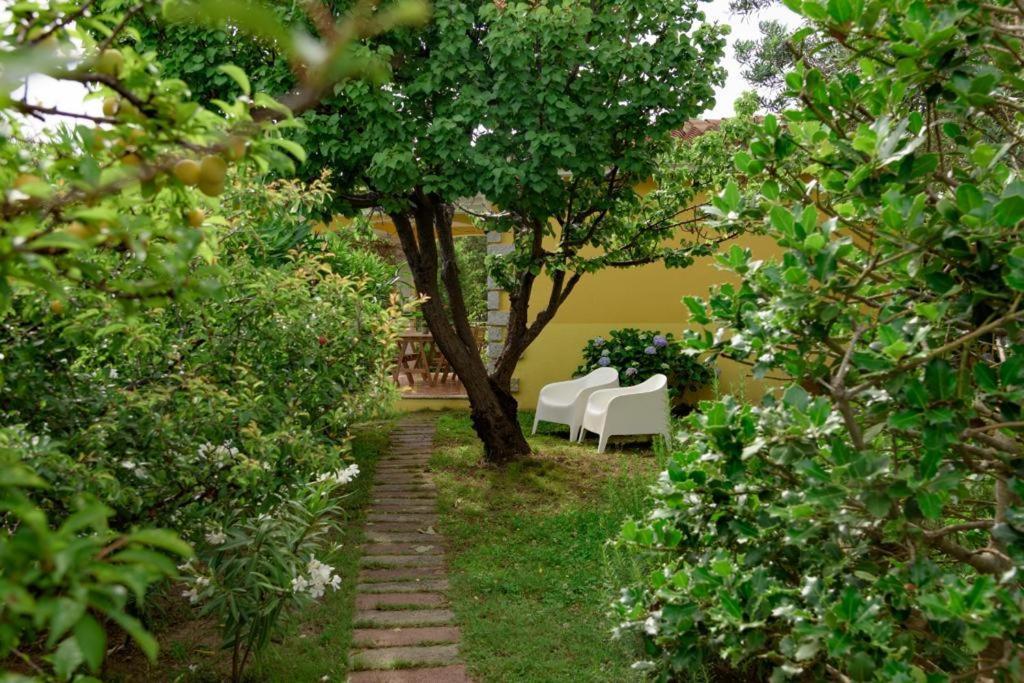 Residence Agrifoglio Monte Petrosu Bagian luar foto